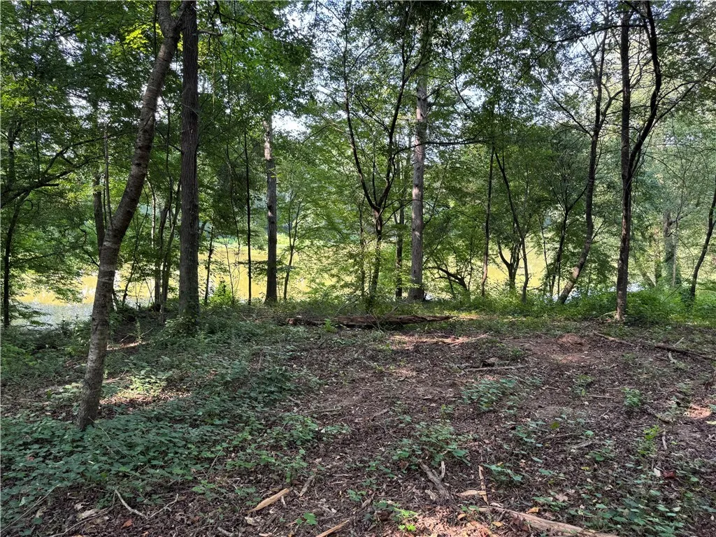 Property image 3 at Lot 26 Arrowhead Lake Trail, Westminster, SC 29693