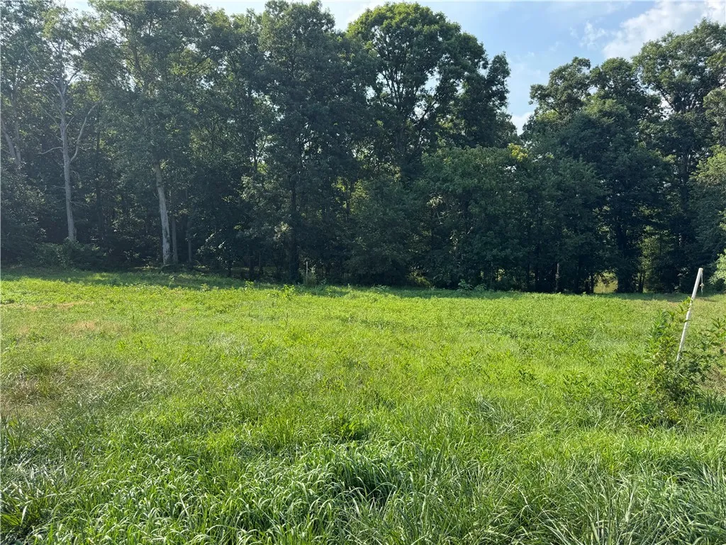 Property image 5 at Lot 26 Arrowhead Lake Trail, Westminster, SC 29693