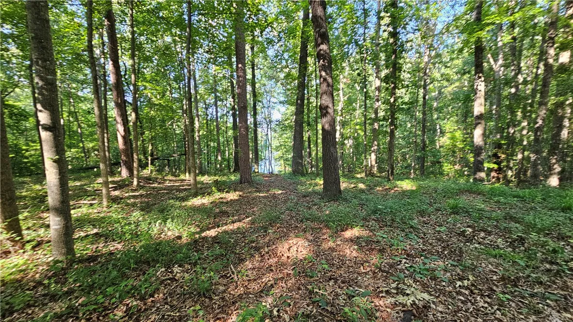 Property image 2 at 184 Seminole Point Road, Fair Play, SC 29643