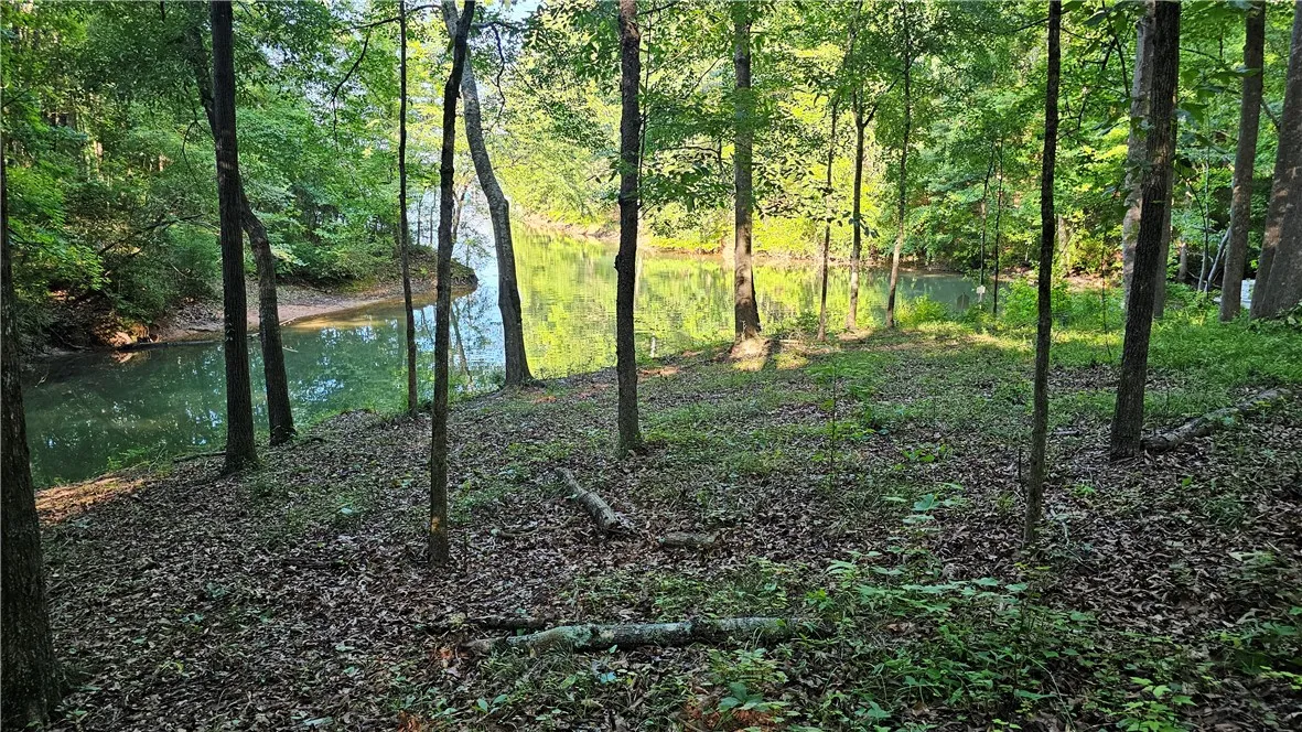 Property image 3 at 184 Seminole Point Road, Fair Play, SC 29643
