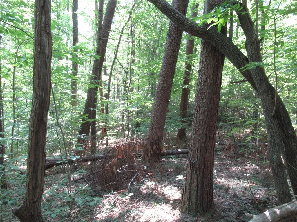 Property image 2 at 00 Gauley Falls Road, Pickens, SC 29671