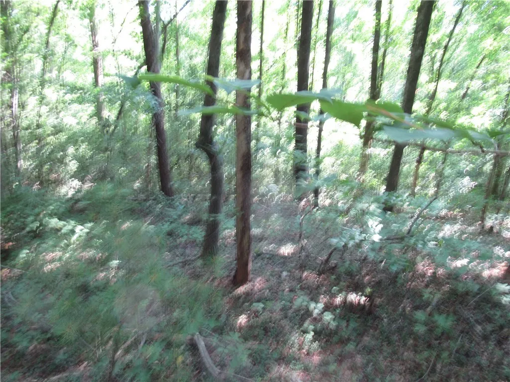 Property image 3 at 00 Gauley Falls Road, Pickens, SC 29671