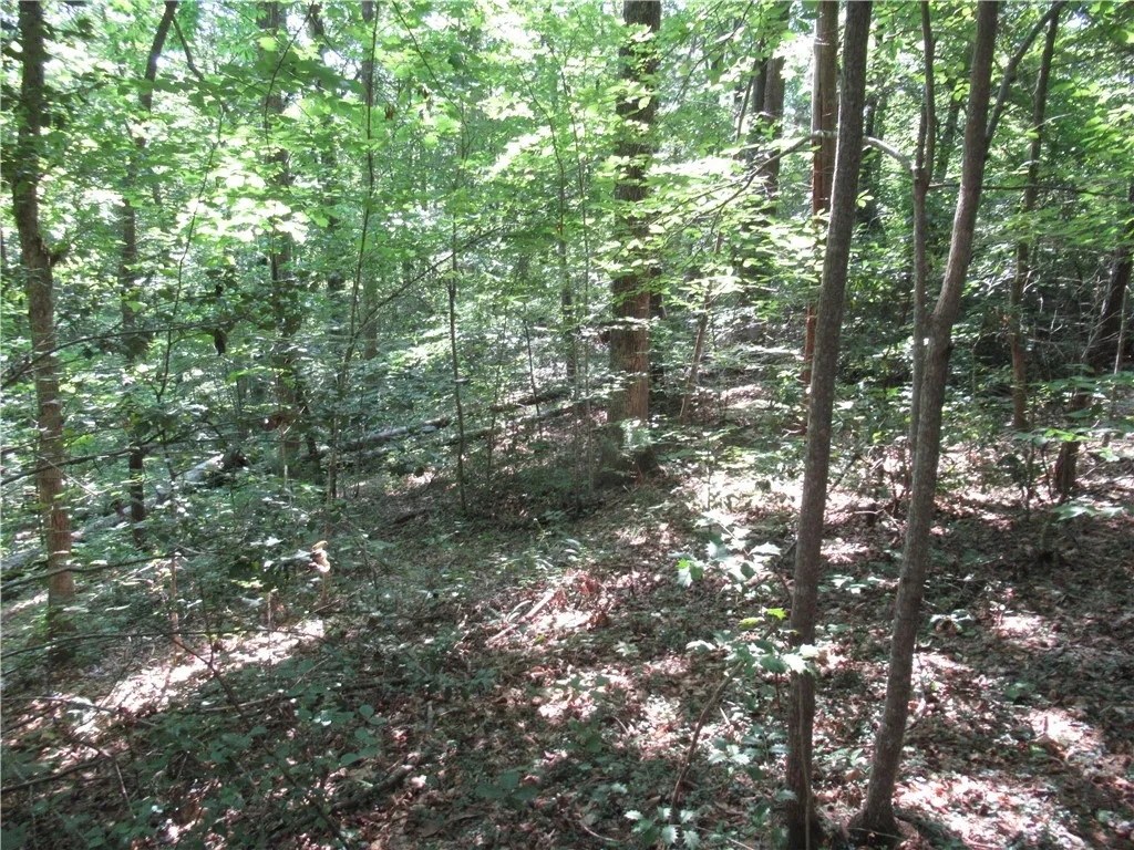 Property image 4 at 00 Gauley Falls Road, Pickens, SC 29671