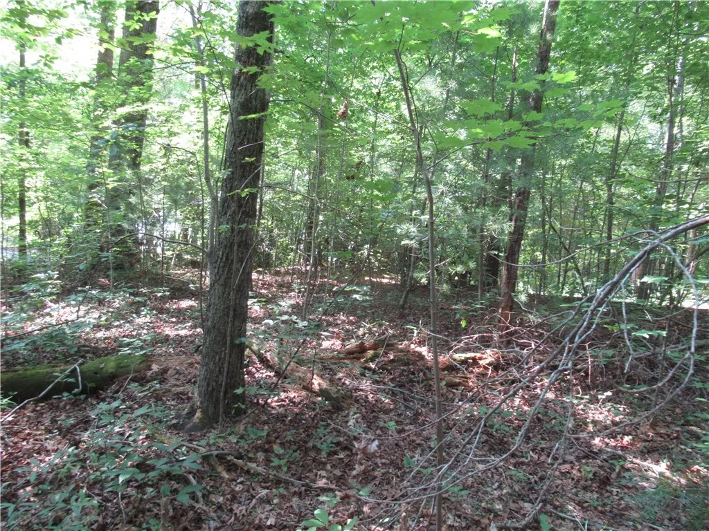 Property image 3 at 00 Gauley Falls Road, Pickens, SC 29671