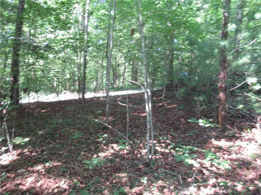 Property image 4 at 00 Gauley Falls Road, Pickens, SC 29671