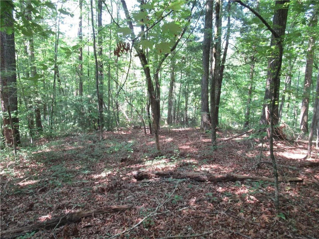 Property image 3 at 205 Gauley Falls Road, Pickens, SC 29671