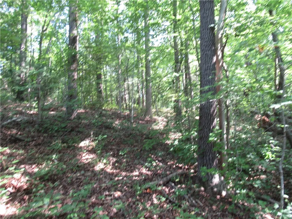 Property image 4 at 205 Gauley Falls Road, Pickens, SC 29671