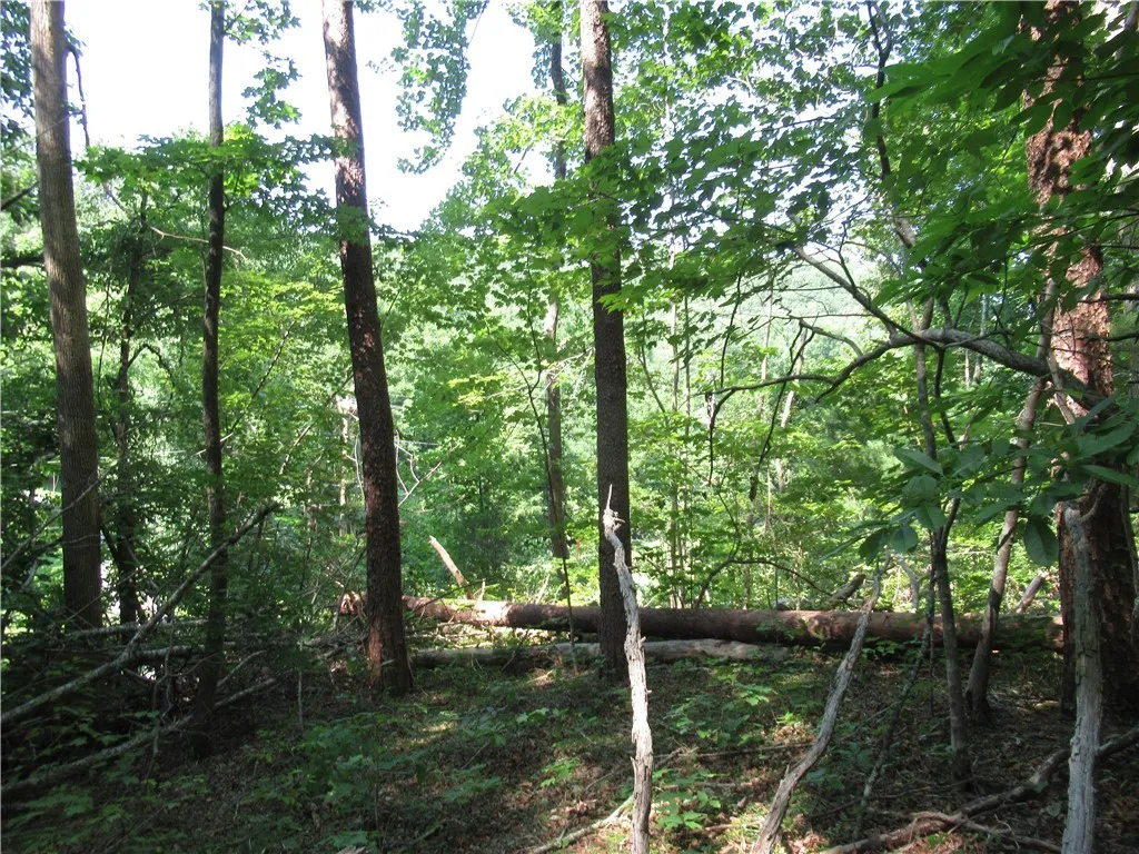 Property image 5 at 205 Gauley Falls Road, Pickens, SC 29671