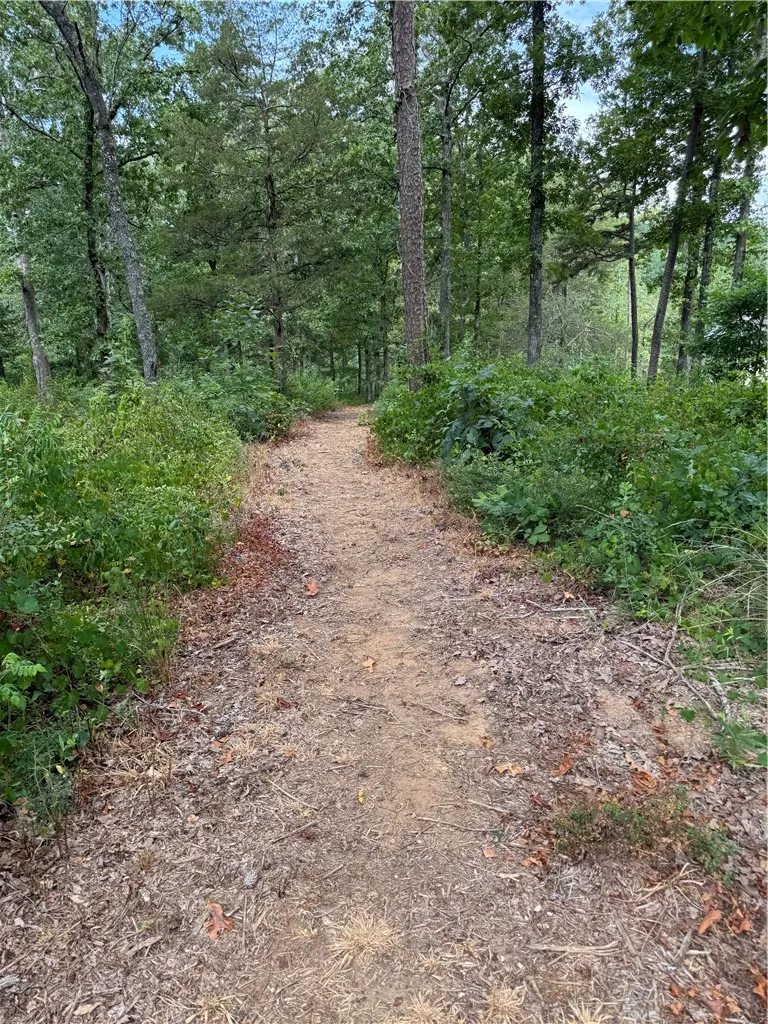 Property image 4 at Lot 33 View West Drive, Seneca, SC 29672