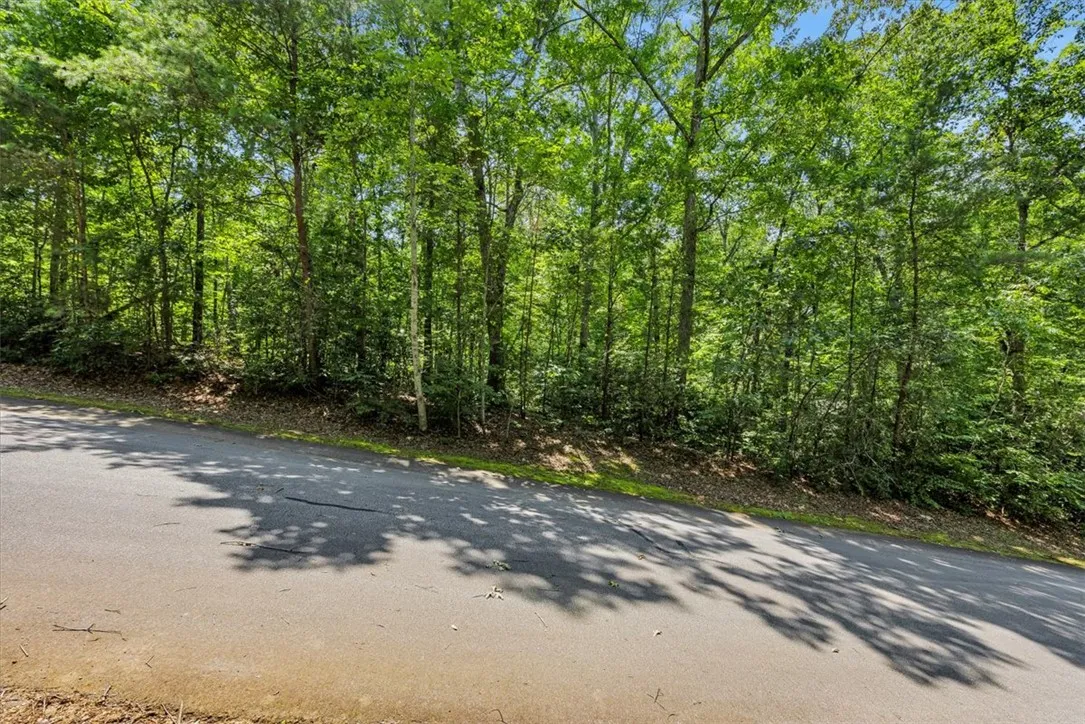 Property image 3 at 14 Alsace Way, Travelers Rest, SC 29690