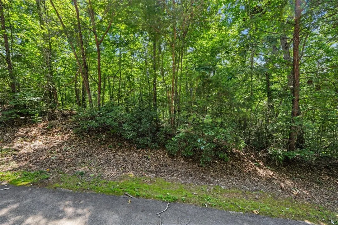 Property image 5 at 14 Alsace Way, Travelers Rest, SC 29690