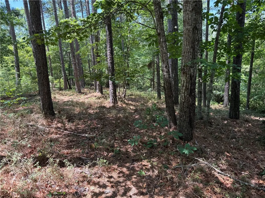 Property image 2 at 126 River Ridge Road, Sunset, SC 29685
