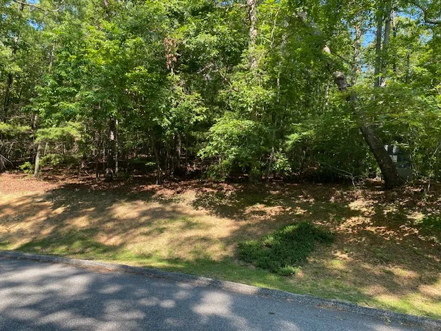 41 Turtle Head Drive