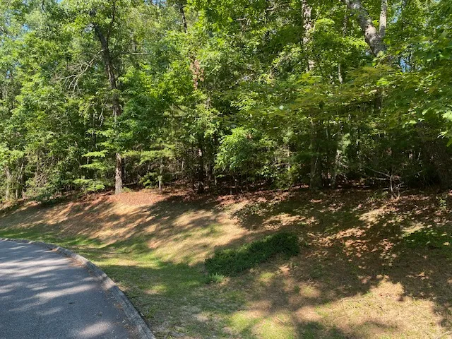 Property image 2 at 41 Turtle Head Drive, Salem, SC 29676