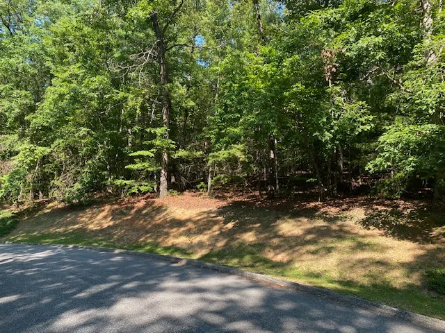 Property image 3 at 41 Turtle Head Drive, Salem, SC 29676