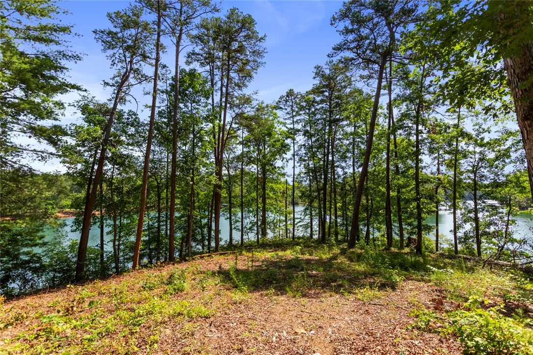 Property image 5 at Lot 22 Harborside 108 Hunter Hill Circle, Six Mile, SC 29682