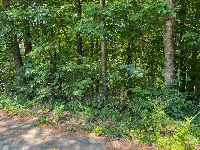 Property image 3 at Lot 57 Fox Run Road, Walhalla, SC 29691