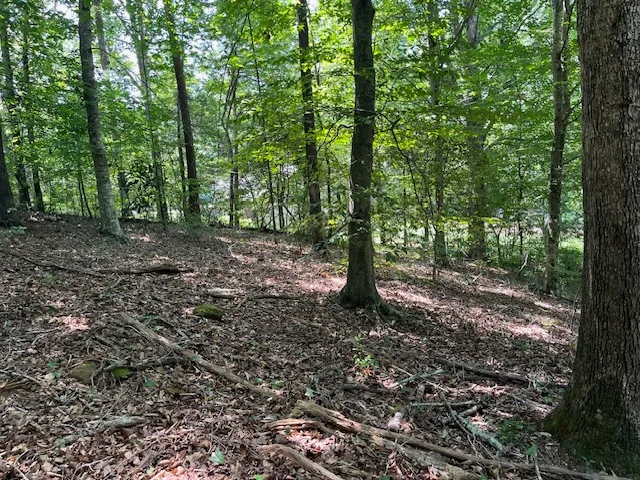 Property image 4 at Lot 57 Fox Run Road, Walhalla, SC 29691