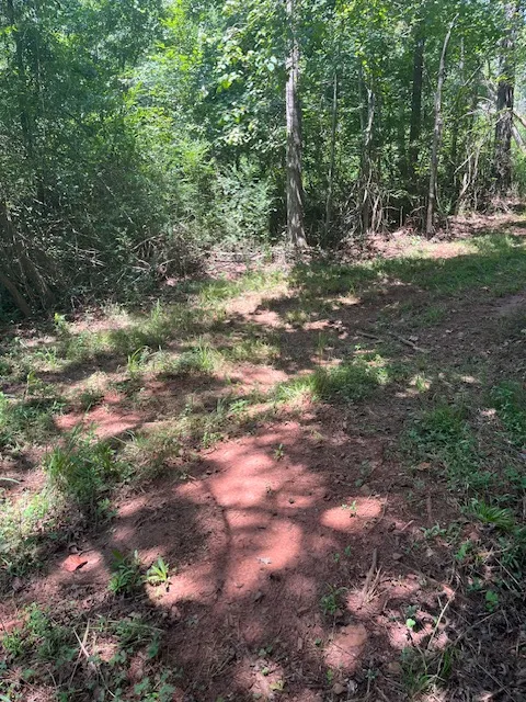 Property image 5 at Lot 57 Fox Run Road, Walhalla, SC 29691