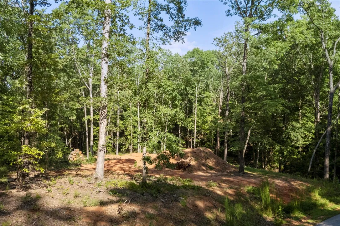 Property image 3 at 6004 Glassy Water Way, West Union, SC 29696