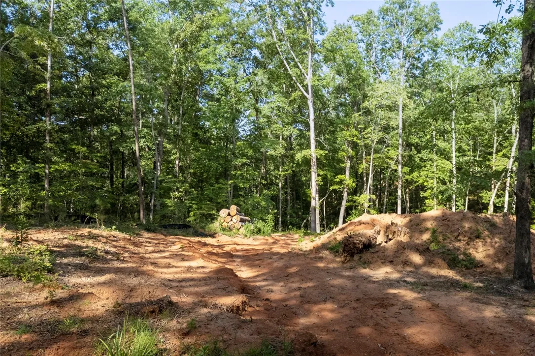 Property image 4 at 6004 Glassy Water Way, West Union, SC 29696