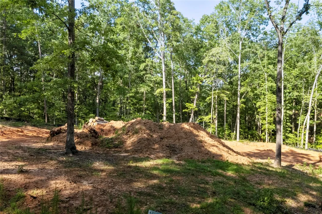 Property image 5 at 6004 Glassy Water Way, West Union, SC 29696
