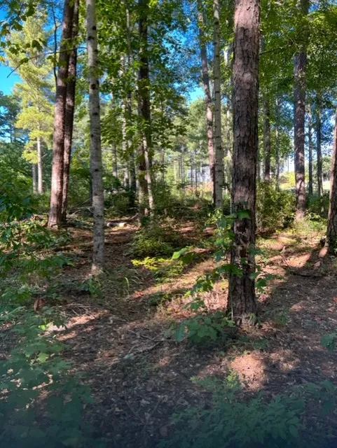 Property image 2 at 216 Harbor Point Road, Seneca, SC 29672