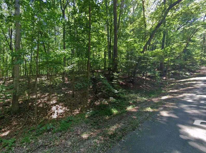 323 Beech Drive