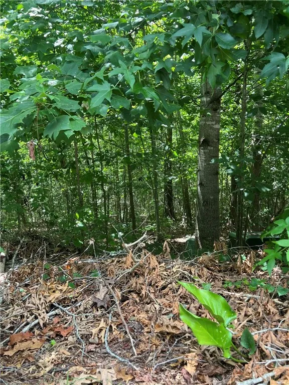 Property image 5 at 12 Summer Walk Court, Seneca, SC 29678