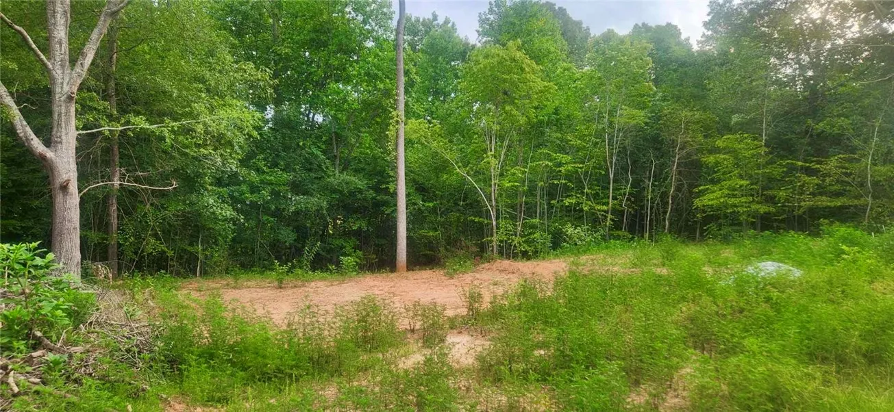 Property image 2 at 209 Castlebrook Drive, Walhalla, SC 29691