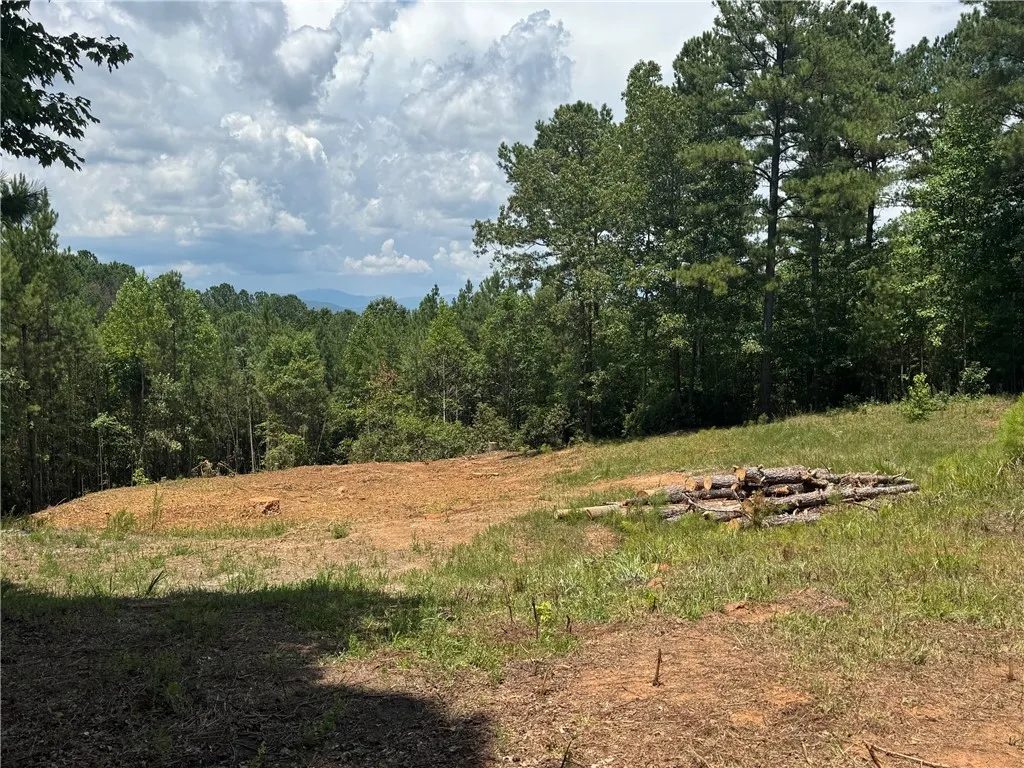 384 Cliffs South Parkway