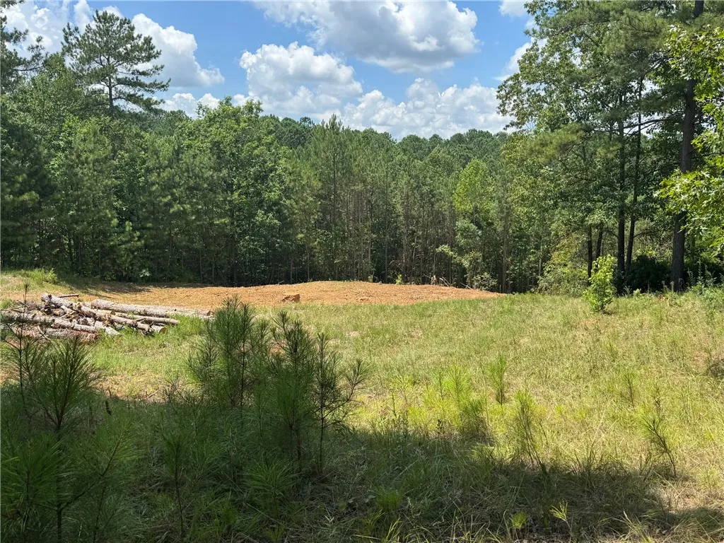 Property image 2 at 384 Cliffs South Parkway, Salem, SC 29676