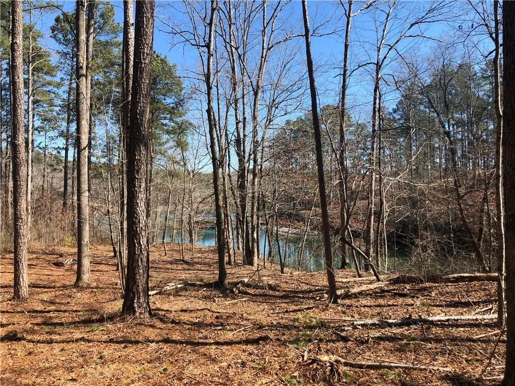 Property image 1 at Lot 44 Glassy Water Way, West Union, SC 29696