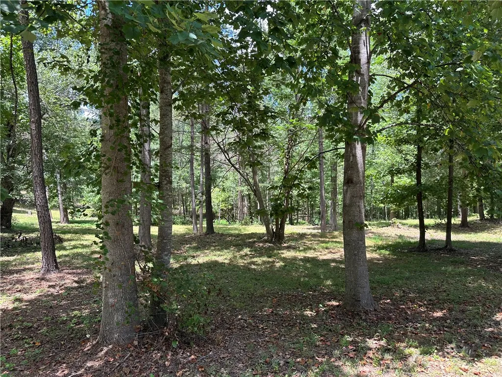 Property image 4 at Lot 4 Stokes Drive, Seneca, SC 29672