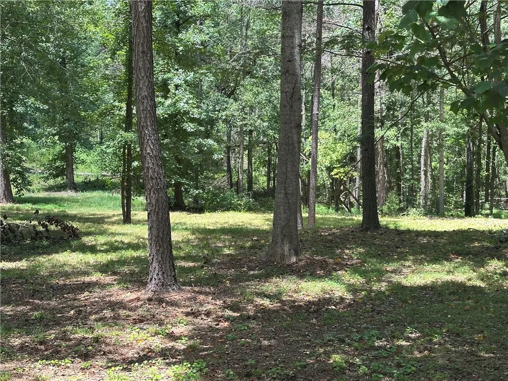 Property image 5 at Lot 4 Stokes Drive, Seneca, SC 29672