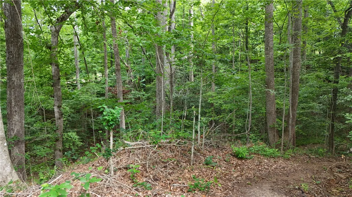 Property image 5 at 533 Sleepy Hollow Court, Tamassee, SC 29686