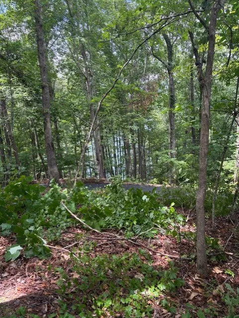 Property image 2 at 105 Great Camp Court, Sunset, SC 29685
