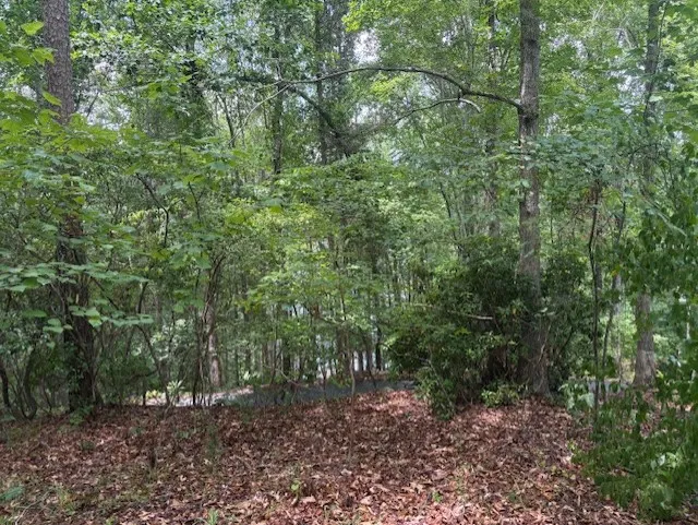 Property image 3 at 105 Great Camp Court, Sunset, SC 29685