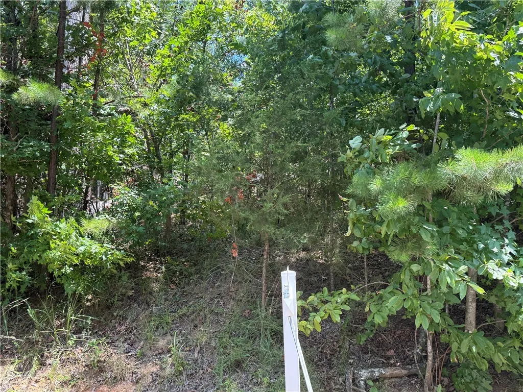 Property image 2 at 00 S Towson Trail, West Union, SC 29696