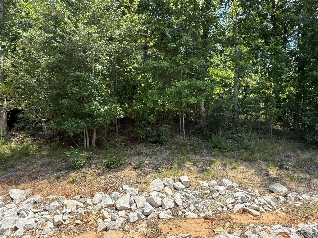 Property image 2 at Lot 12 S Towson Trail, West Union, SC 29696