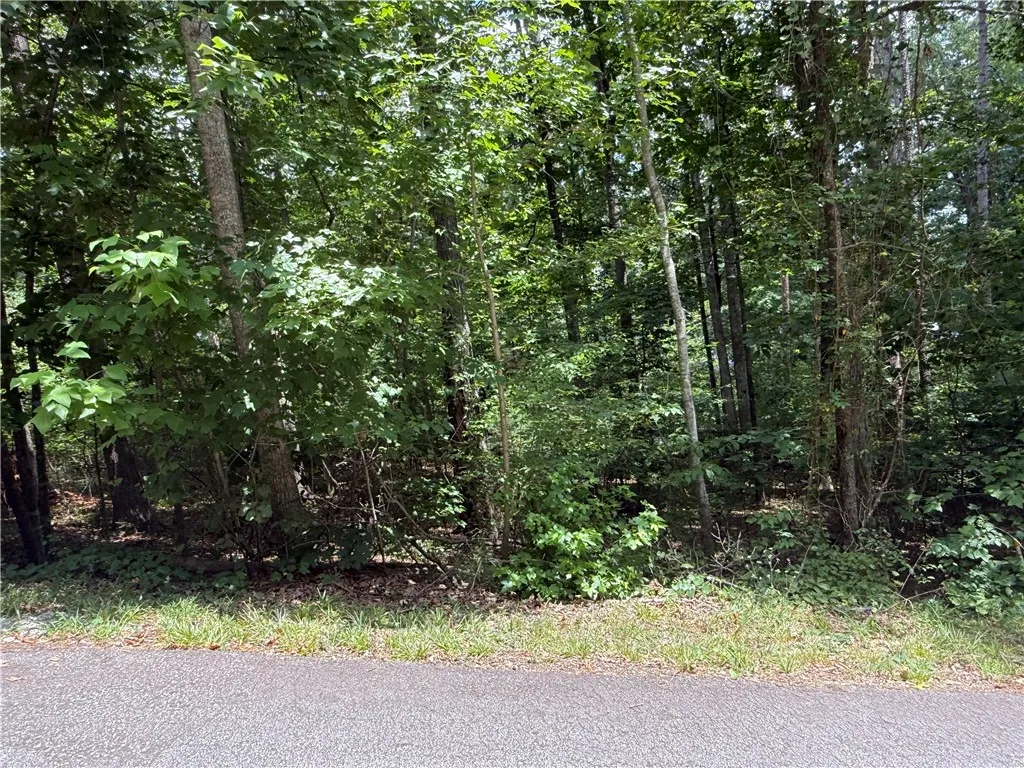 Property image 3 at 238 Brandywine Drive, Westminster, SC 29693
