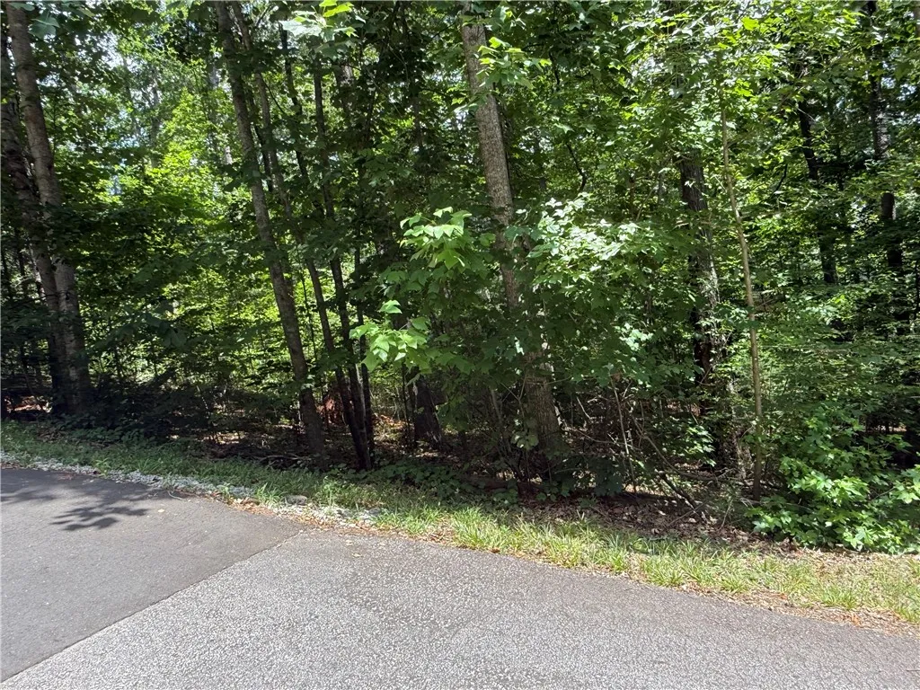 Property image 4 at 238 Brandywine Drive, Westminster, SC 29693