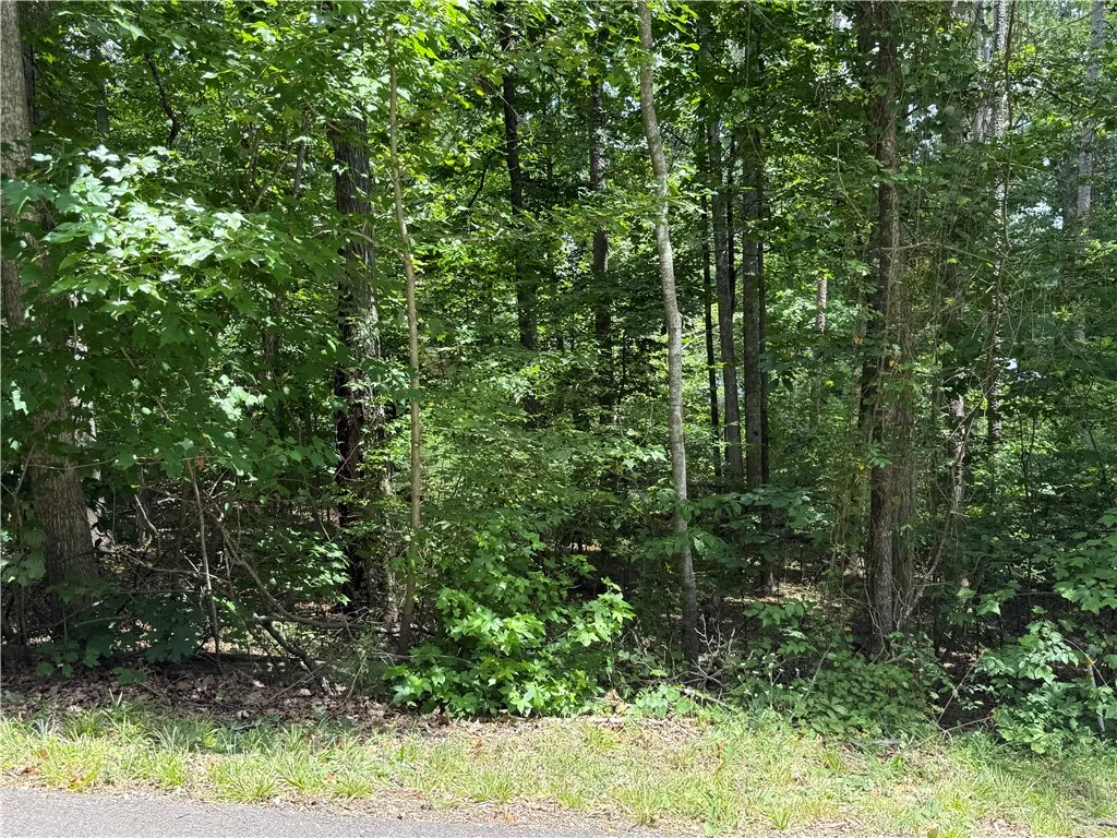 Property image 5 at 238 Brandywine Drive, Westminster, SC 29693