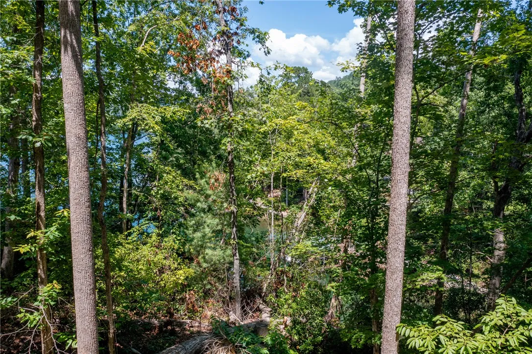Property image 3 at Lot J6 405 Ivory Bill Way, Salem, SC 29676