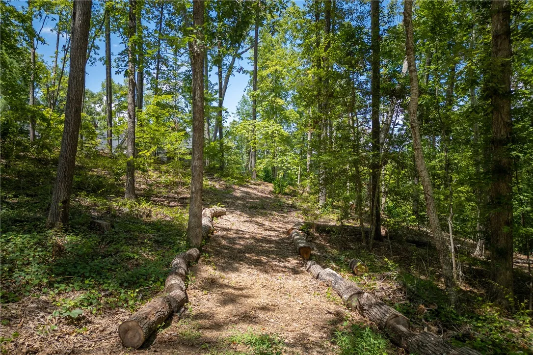 Property image 4 at Lot J6 405 Ivory Bill Way, Salem, SC 29676