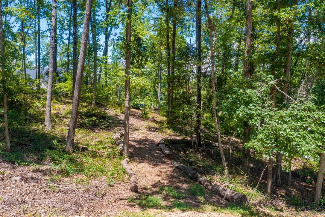 Property image 5 at Lot J6 405 Ivory Bill Way, Salem, SC 29676