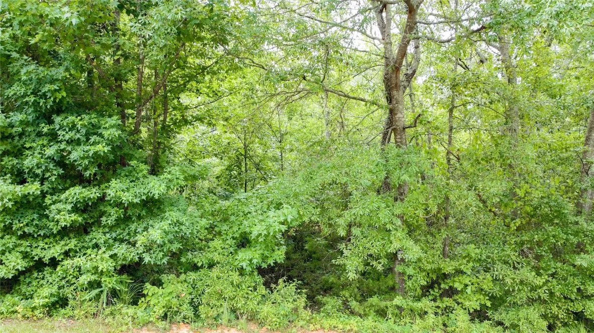 00 Country Glen Lane