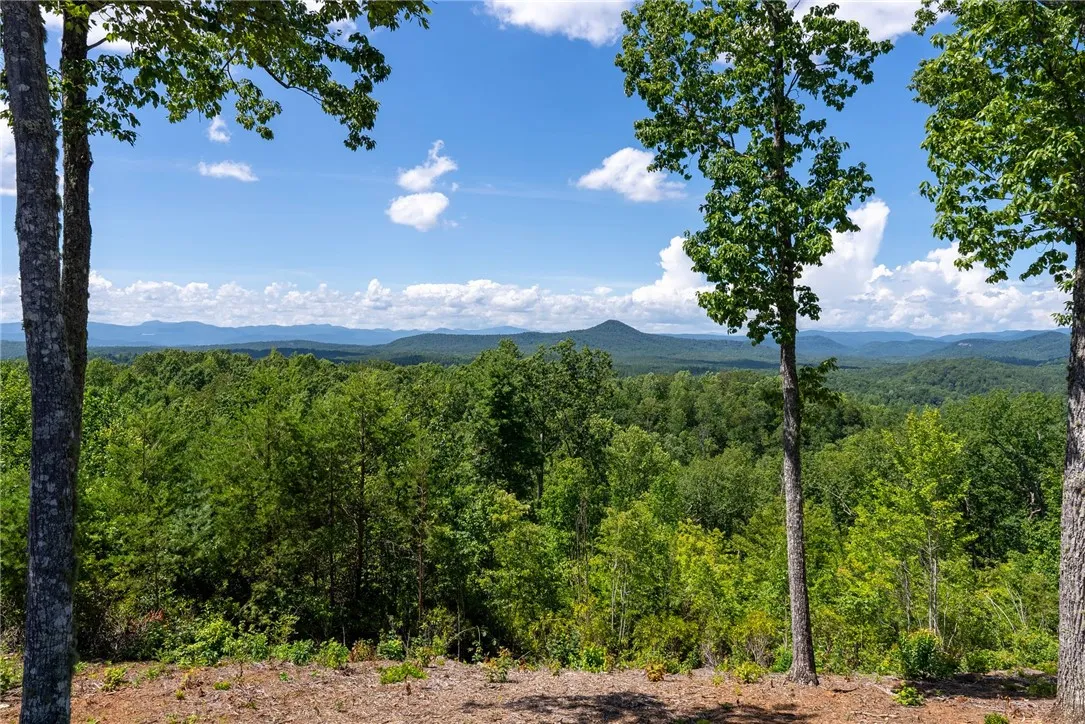 Property image 2 at 711 Scharlin Drive, Pickens, SC 29671