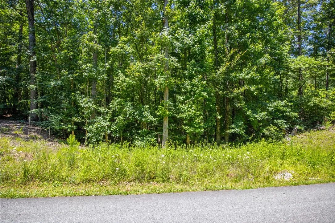 Property image 4 at 132 E Avondale Drive, Westminster, SC 29693