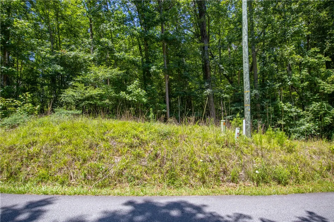Property image 5 at 132 E Avondale Drive, Westminster, SC 29693